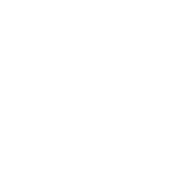 Icon illustrating Acupuncture