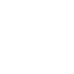 Icon illustrating E-Stim_NMES & Tens Combo Unit