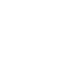 icon of electromagnetic