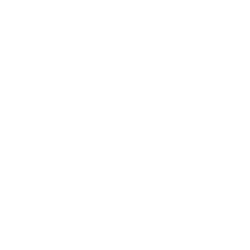 Icon illustrating Guided Exercise Program