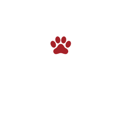 An illustration of two hands holding a heart that as a red paw inside.