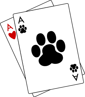 Two Aces playing cards